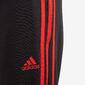 adidas Bold adidas Bold