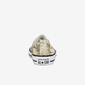 Chuck Taylor Shoreline Sra Dptvo Animal Print Clas Chuck Taylor Shoreline Sra Dptvo Animal Print Clas