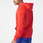 Sweatshirt Helly Hansen Logo Hoodie Sweatshirt Helly Hansen Logo Hoodie