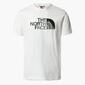 Camiseta Montaña The North Face Camiseta Montaña The North Face