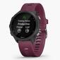Garmin Forerunner 245 Garmin Forerunner 245