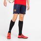 Nike Fcb Nike Fcb