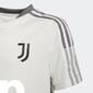 Camiseta Juventus Camiseta Juventus
