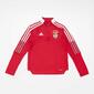 Casaco Benfica adidas 21/22 - Vermelho - Futebol Rapaz Casaco Benfica adidas 21/22 - Vermelho - Futebol Rapaz