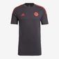 Bayern Muenchen Adultos Camiseta M/c Equipo Fc21/2 Bayern Muenchen Adultos Camiseta M/c Equipo Fc21/2