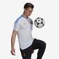 Camiseta Real Madrid Camiseta Real Madrid