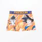Boxer Dragon Ball Boxer Dragon Ball