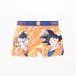 Boxer Dragon Ball Boxer Dragon Ball