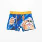 Boxer Dragon Ball Boxer Dragon Ball