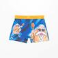 Boxer Dragon Ball Boxer Dragon Ball