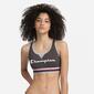 Champion Authentic Champion Authentic