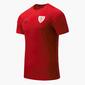 Camiseta At. Bilbao Pre-match 21/22 - Granate - Hombre Camiseta At. Bilbao Pre-match 21/22 - Granate - Hombre