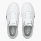 Puma Carina L Snake Puma Carina L Snake