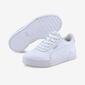 Puma Carina L Puma Carina L