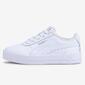 Puma Carina L Puma Carina L