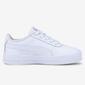Puma Carina L Puma Carina L
