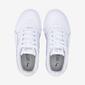 Puma Carina L Puma Carina L