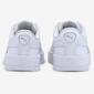Puma Carina L Puma Carina L
