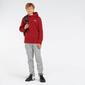 Sweatshirt Puma Evostripe Sweatshirt Puma Evostripe