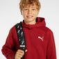 Sweatshirt Puma Evostripe Sweatshirt Puma Evostripe