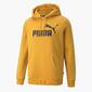 Puma Big Logo Puma Big Logo