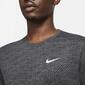 Nike Pegasus Nike Pegasus