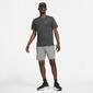 Nike Pegasus Nike Pegasus