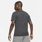 Nike Pegasus Nike Pegasus