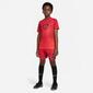 Nike Academy - Rojo - Camiseta Fútbol Chico 