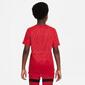 Nike Academy - Rojo - Camiseta Fútbol Chico Nike Academy - Rojo - Camiseta Fútbol Chico