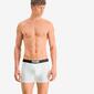 Boxer Puma Boxer Puma