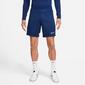 Nike Dry Academy Nike Dry Academy