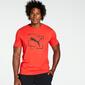 Puma Box - Rojo - Camiseta Hombre 