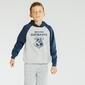 Sweatshirt Harry Potter - Cinza - Sweatshirt Rapaz Sweatshirt Harry Potter - Cinza - Sweatshirt Rapaz