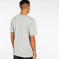 +8000 Desirex - Cinza - T-shirt Montanha Homem 