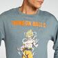 Sudadera Goku - Gris - Sudadera Hombre Sudadera Goku - Gris - Sudadera Hombre