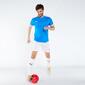 Puma Teamliga - Azul - Camiseta Fútbol 