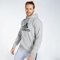 adidas Graphics - Gris - Sudadera Capucha Hombre adidas Graphics - Gris - Sudadera Capucha Hombre