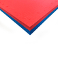 Tatami Judo Induction Ijf Educational - Bicolor Tatami Judo Induction Ijf Educational - Bicolor