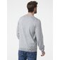 Sudadera Skagen Helly Hansen Sudadera Skagen Helly Hansen