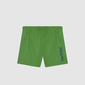 Bañador Pieter Van Beck Wing Green Bañador Pieter Van Beck Wing Green