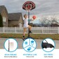 Canasta Baloncesto Ultrarresistente Lifetime Altura Regulable 168/229 Cm Uv100 - Negro/Naranja Canasta Baloncesto Ultrarresistente Lifetime Altura Regulable 168/229 Cm Uv100 - Negro/Naranja