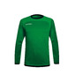 Camisola Acerbis Lev Guarda-redes - Verde 