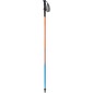 Bastones Dynafit Vertical Lee/blue Bastones Dynafit Vertical Lee/blue