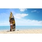 Tabla Sup Hinchable Coasto Argo 10.6' Tabla Sup Hinchable Coasto Argo 10.6'