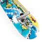 Skate Completo Crandon Skc775north - Azul/Verde - Skate Completo Skate Completo Crandon Skc775north - Azul/Verde - Skate Completo