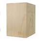 Cajón Pliométrico En Madera Cajón Pliométrico En Madera
