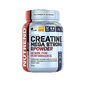Creatina Mega Strong - 500g - Piña Creatina Mega Strong - 500g - Piña