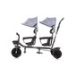 Triciclo Gemelar Duet Mist De Chipolino Con Asiento Delantero 360º Triciclo Gemelar Duet Mist De Chipolino Con Asiento Delantero 360º