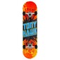 Skate Completo Tony Hawk Ss 180 Shatter Logo 7.75" - Multicolor Skate Completo Tony Hawk Ss 180 Shatter Logo 7.75" - Multicolor